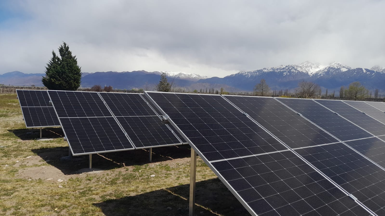 Parque fotovoltaico instalado en Viñedo La Alegría, Mendoza