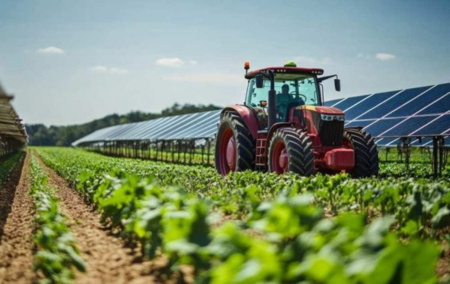 Tractor operando en un campo con sistema solar agrivoltaico